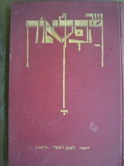 עיר הפלאות 