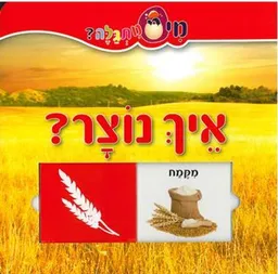 איך נוצר - סדרת 'מי מתגלה?'