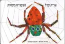 העכביש העסוק - קרטון