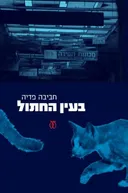 בעין החתול