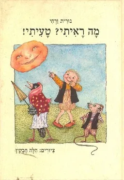 עטיפת הספר מה ראיתי? טעיתי! מאת נורית זרחי
