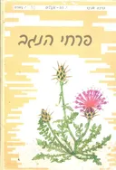 פרחי הנגב