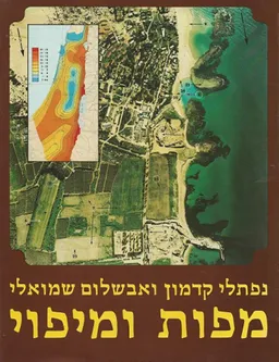 מפות ומיפוי