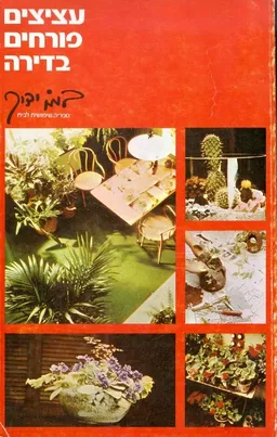 עציצים פורחים בדירה במו ידך