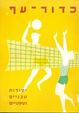 כדור-עף : יסודות טכניים וטקטיים