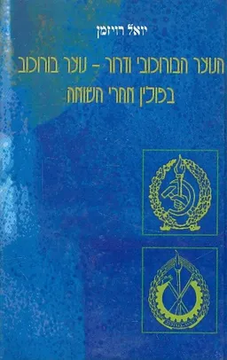 הנוער הבורוכובי ודרור - נוער בורוכוב בפולין  אחרי השואה