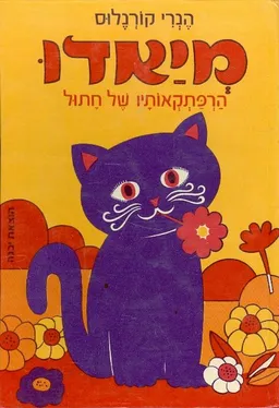 עטיפת מיאדו : הרפתקאותיו של חתול