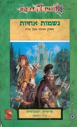 נשמות אחיות