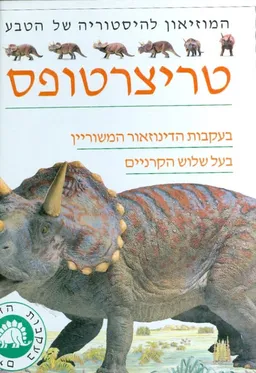 המוזיאון להיסטוריה של הטבע טריצרטופס