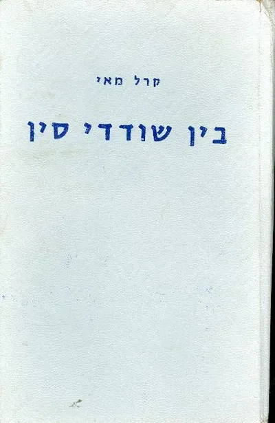 בין שודדי סין
