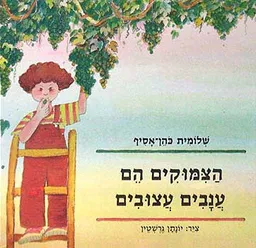 הצמוקים הם ענבים עצובים