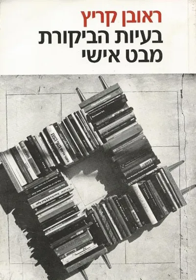 בעיות הביקורת : מבט אישי