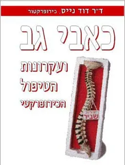כאבי גב ועקרונות הטיפול הכירופרקטי