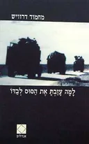 למה עזבת את הסוס לבדו