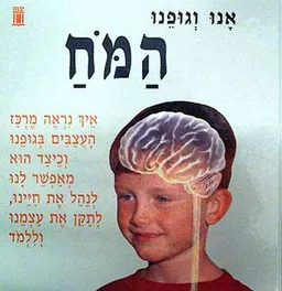 עטיפת אנו וגופנו - המח