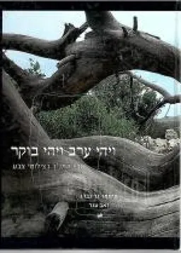 ויהי ערב ויהי בוקר - ארץ התנ"ך בצילומי צבע