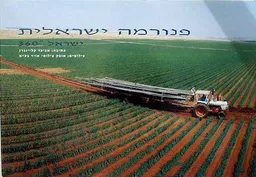 עטיפת הספר פנורמה ישראלית מאת אביעד קליינברג