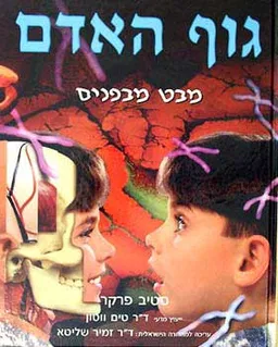 גוף האדם - מבט מבפנים