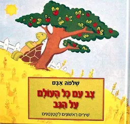 עטיפת צב עם כתם על הגב