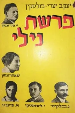 פרשת נילי