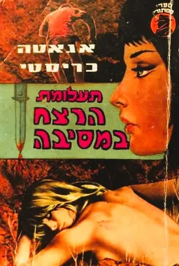 עטיפת תעלומת הרצח במסיבה