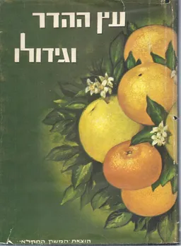 עץ ההדר וגידולו