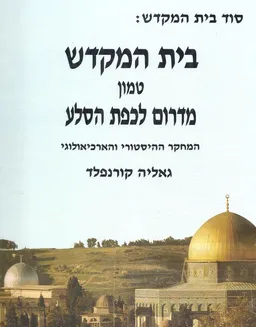 בית המקדש טמון מדרום לכפת הסלע : המחקר ההיסטורי והארכיאולוגי