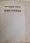 בשלולית המים