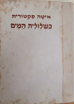 בשלולית המים