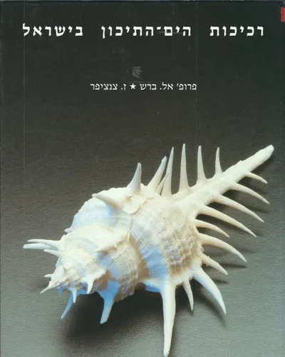 רכיכות הים התיכון בישראל