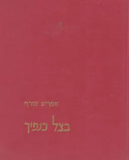 עטיפת הספר בצל כנפיך : שירים ומקאמות מאת אפרים צורף