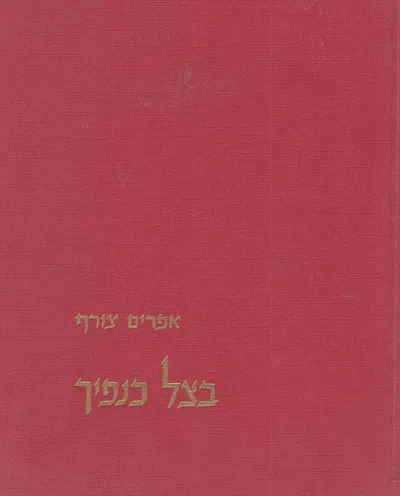 בצל כנפיך : שירים ומקאמות