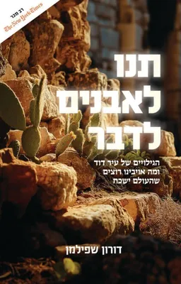 עטיפת תנו לאבנים לדבר