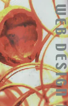 Web design index 4 כולל cd