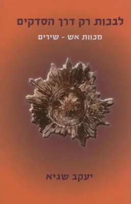 לבכות רק דרך הסדקים