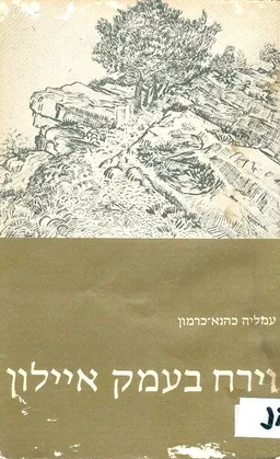 וירח בעמק איילון