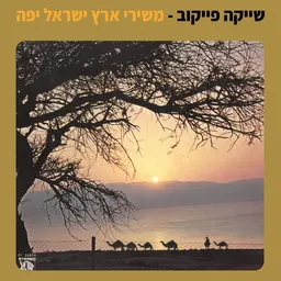 עטיפת הספר שייקה פייקוב - משירי ארץ ישראל היפה מאת שייקה פייקוב