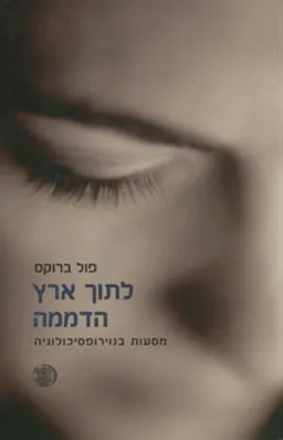 לתוך ארץ הדממה