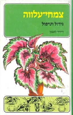 צמחי עלווה גידול וטיפול