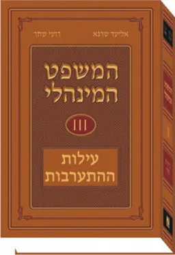 המשפט המינהלי ג' עילות ההתערבות