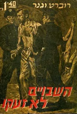 עטיפת סטאלג השבויים לא זעקו 