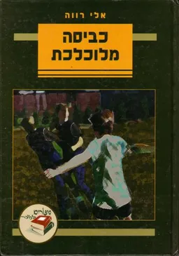כביסה מלוכלכת 