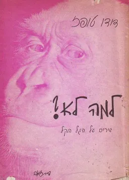 עטיפת הספר למה לא? מאת דודו טופז