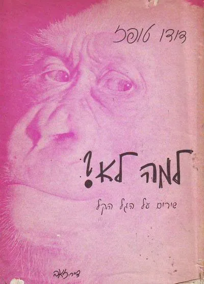 למה לא?