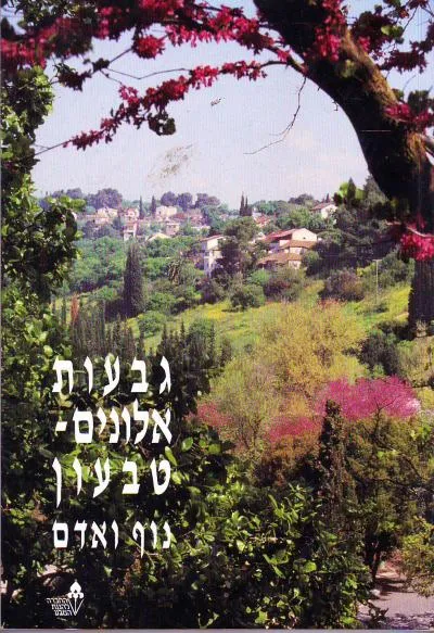 גבעות אלונים טבעון נוף ואדם
