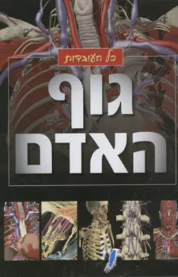 כל העובדות