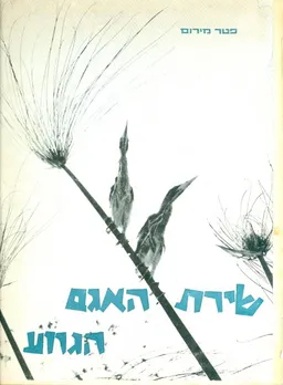 שירת האגם הגווע