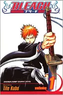 Bleach