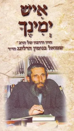 עטיפת הספר איש ימינך מאת יואב שורק