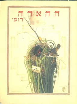 ההארה רומי